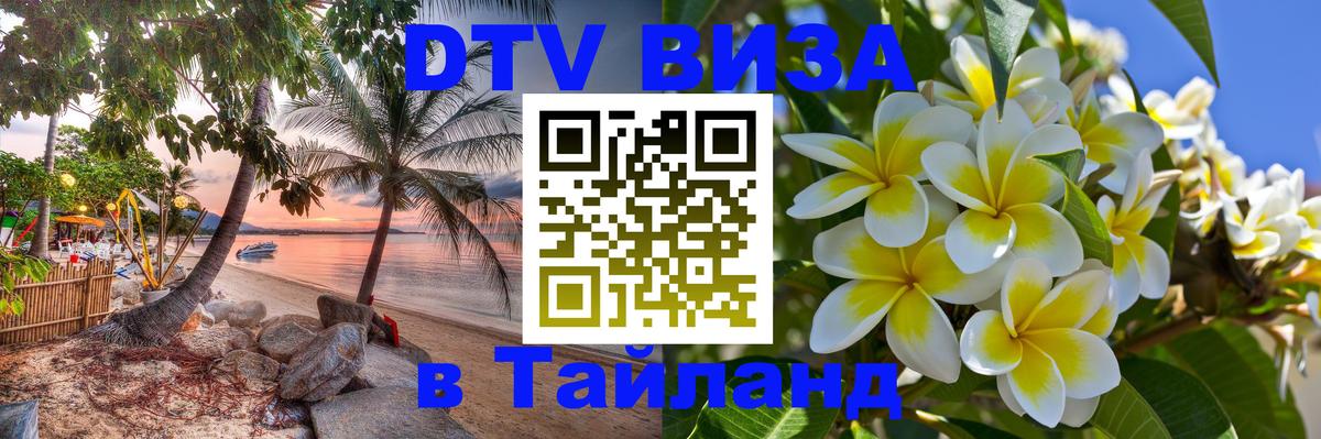 Сколько стоит DTV виза — актуальные цены, оформление даже без документов - 04.12.2025 